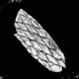 ヴェンソン肉の塩漬け