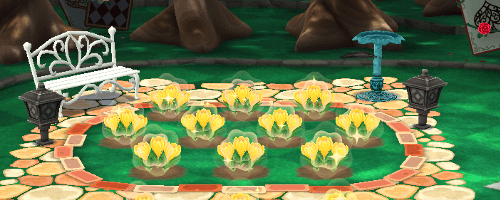 種を植えて育てる