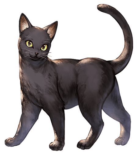 漆黒纏う黄金の瞳