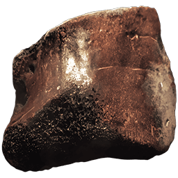 シェル・フラグメント