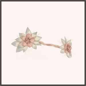 荒野<アクセサリー>