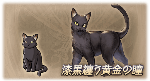 漆黒纏う黄金の瞳・猫