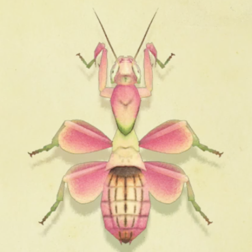 ハナカマキリの値段と捕まえるコツ