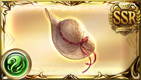 スカイバケーション