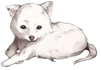 be3dc71ecb169565f7be25d702dcef65