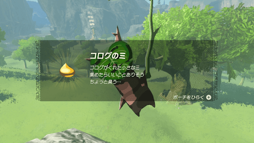 クリアするとコログの実を入手できる