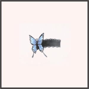 蝶のガーター-夜