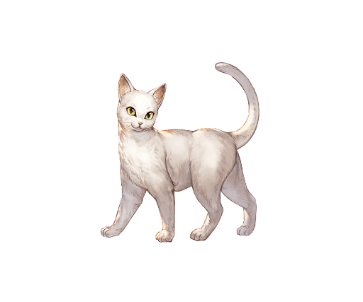 ミルキーショート・猫