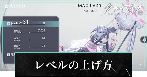 レベルの上げ方とEXPの入手方法