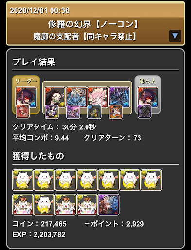 魔廊の支配者-セイナパーティ