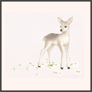 葉を食む小鹿