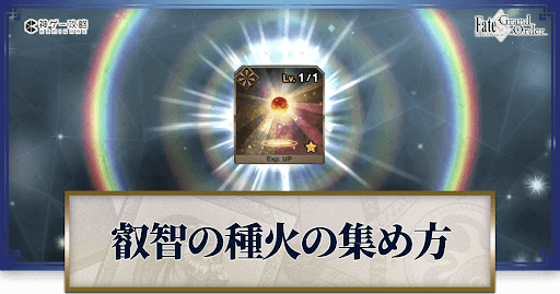 fgo-叡智の種火