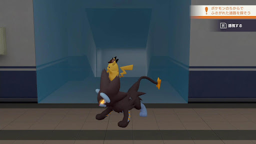 隠された通路を捜す