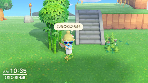 はるのわかたけを集める