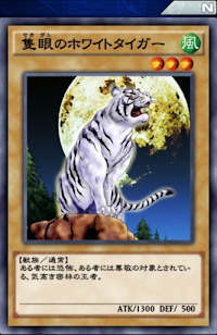 隻眼のホワイトタイガー