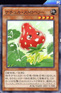 ナチュル・ストロベリー