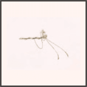 神の山での戦い