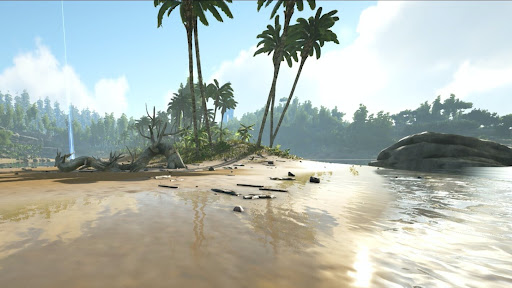 海岸バイオーム_南部エリア