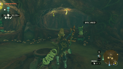 調理鍋付近からトーレルーフ