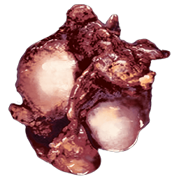 プラントR-1の種