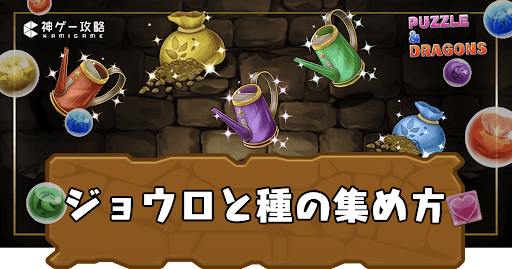 ジョウロと種の集め方