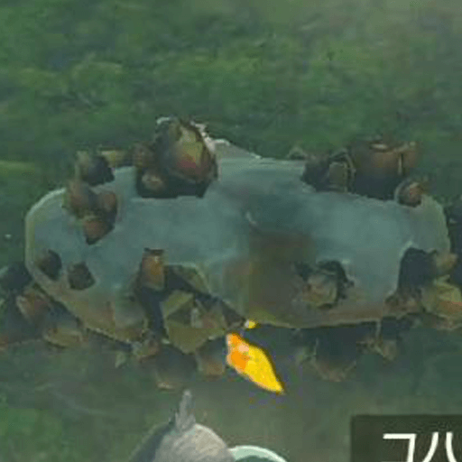 イワロックの心岩