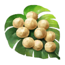 fgo-トロピカルナッツ