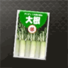 大根の種