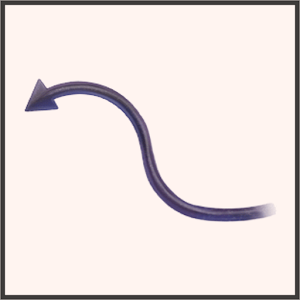 クロミのしっぽ