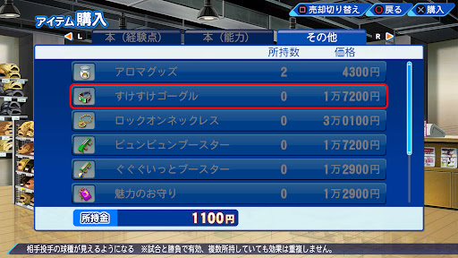 すけすけゴーグル