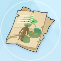 断片的なヴォイニッチ手稿のコピー