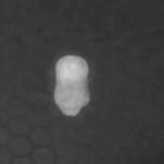 見えないなにか