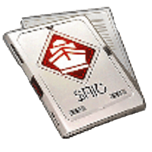 グレイプニル出撃許可書