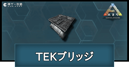 TEKブリッジの作り方と使い道