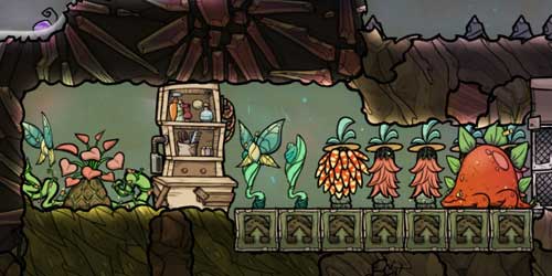 Oni_オヴァグロミミカコーン農園