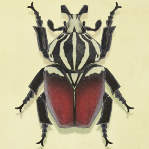 ゴライアスオオツノハナムグリの値段と捕まえるコツ