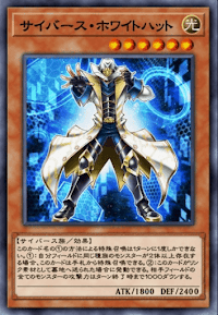 サイバース・ホワイトハット