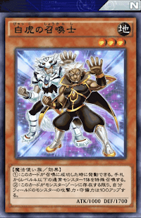 白虎の召喚士