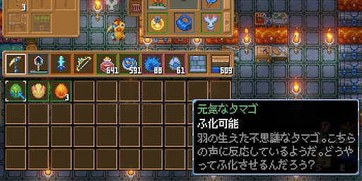 ペットの入手方法_タマゴ