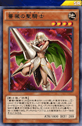 薔薇の聖騎士