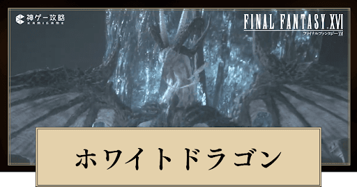 ホワイトドラゴン