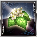 トニックフラワー