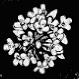 クリーピングタイム