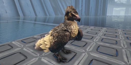 ARK_アルゲンタヴィス