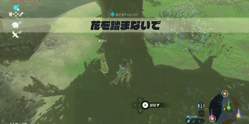 ゼルダBotW_花を踏まないで