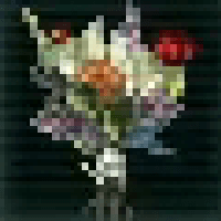 ドライフラワー