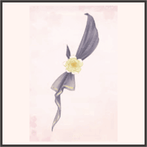 SR-銀河のショール