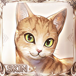 ジンジャーキャット