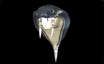 ガブラスXヘッド