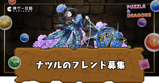 ナツルフレンド募集